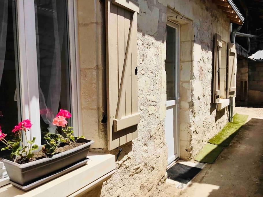 Logement Neuf Et Cosy Proche Centre Ville Chinon Luaran gambar